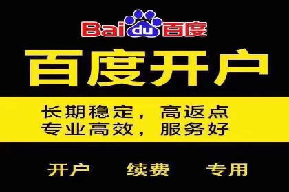 百度推广公司案例研究：揭秘企业快速崛起的秘密